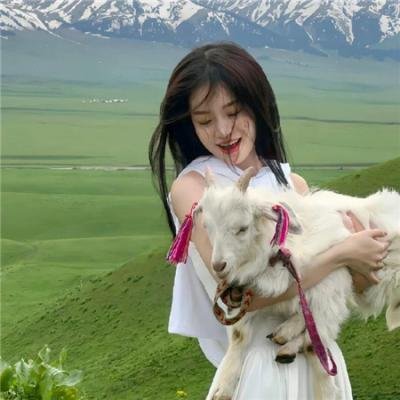 阿尔忒弥斯计划